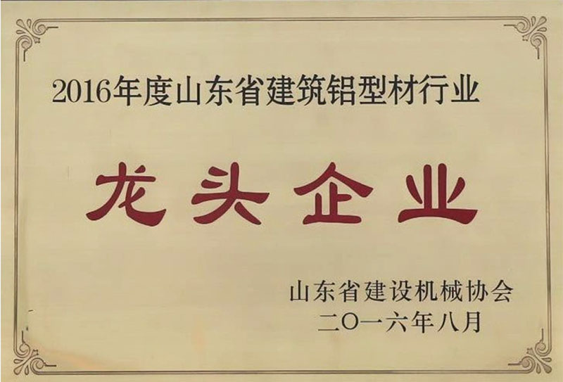 Shandong leading enterprise in building aluminum profiles